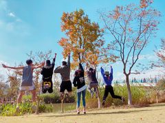 -上海长兴岛郊野公园