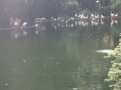-九龙公园