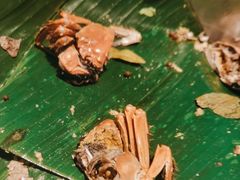 -筠咖啡西餐厅(上海国展宝龙丽筠酒店)