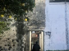 -东梓关景区村庄