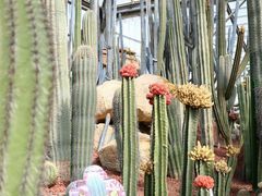 -南通洲际绿博园