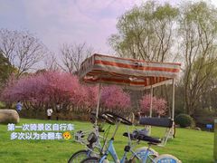 -贡湖湾湿地公园