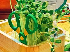 -阳坊涮肉(西直门凯德mall店)