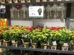 -鹿岛会员店 (龙湖三千集天街店)