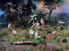 -陕西自然博物馆