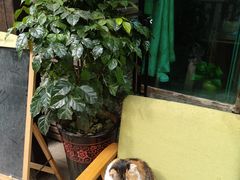 -天一朴素(武汉大学店)