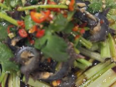 -香丰阁·烤鸭·川湘菜(清河店)
