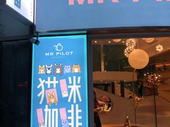 -飞行喵MR PILOT|猫舍·猫咖(静安大融城店)