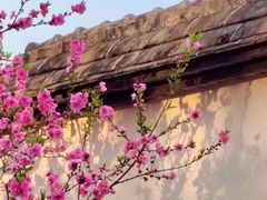 -乌山风景区