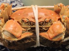 -江杨农产品批发市场