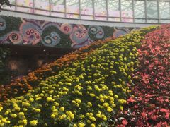 -花之城