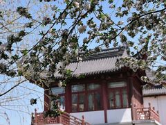 -莫愁湖公园
