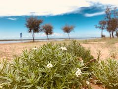 -黄沙古渡原生态旅游区