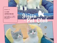 -久久宠物(河东万达店)
