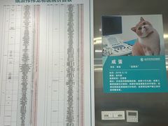 -伟伟宠物医院·CT影像中心·瑞派犬猫综合性门诊(汉口总院)
