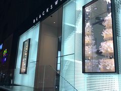 -BLACKSWAN黑天鹅(环球店)