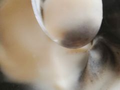 -鞠氏黑芝麻糊(水塔店)