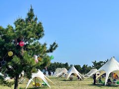 -阳光海岸露营公园