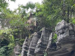 -梭布垭石林景区