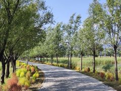 -野鸭湖国家湿地公园