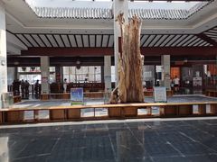 -石台牯牛降景区