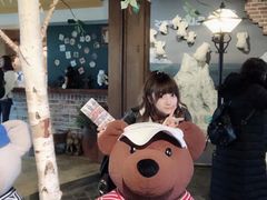 -济州岛泰迪熊博物馆