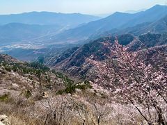 -阳台山自然风景区