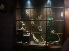 -逃脱反斗城沉浸剧情密室(阳光新业中心店)