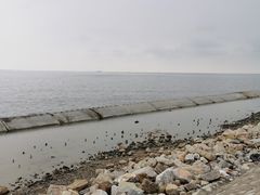 -东疆建设开发纪念公园