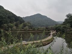 -桃花岭景区