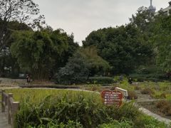 -成都市活水公园