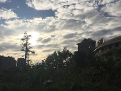 -灵玲国际马戏城