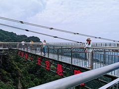 -梦幻奥陶纪景区