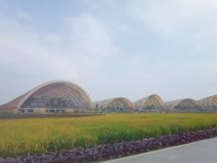 -中国天府农业博览园