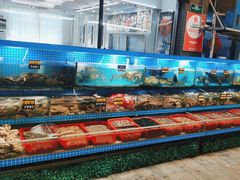 -望海潮海鲜店 特色家常菜(在海一方店)