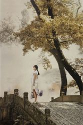 -沐曦摄影工作室