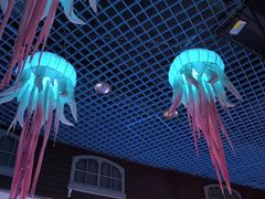 -太平洋海底世界