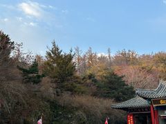 -泰山风景名胜区