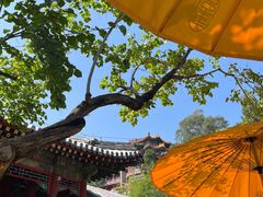 -宫事颐庭·老佛爷贵寿下午茶(颐和园店)