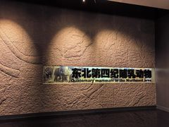 -大庆市博物馆