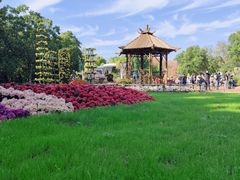 -上海共青森林公园