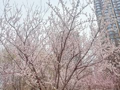 -新世界小天星幼儿园(尚景园)