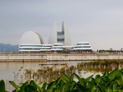 -野狸岛