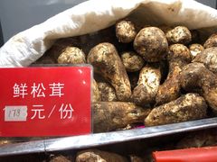 -太婆天府山珍酒楼(亚运村店)