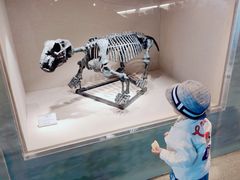 -辽宁古生物博物馆