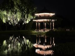 -渤公岛生态公园