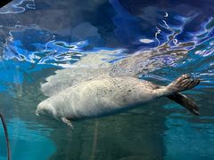 -上海海洋水族馆