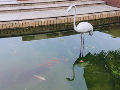 -七宝老街-闵行市民文化广场