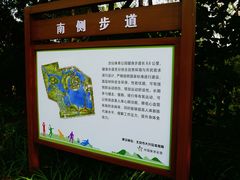 -大兴滨河森林公园