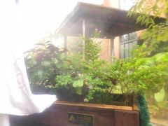 -汇雅温泉